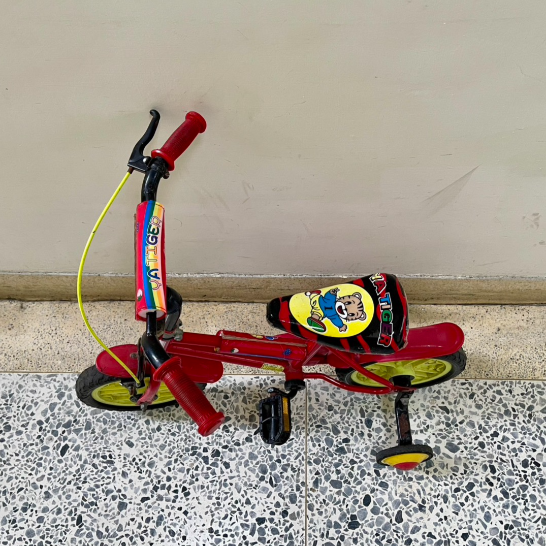 2789-兒童腳踏車-100