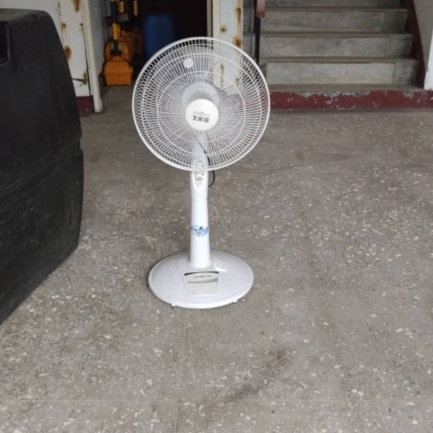 白色直立電風扇