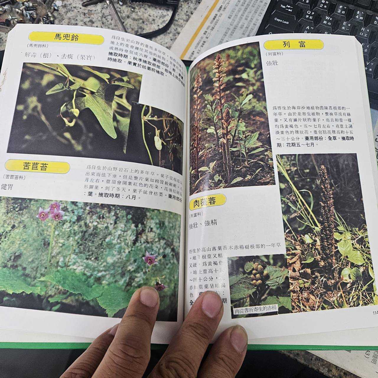 4682-草藥治百病 彩色書