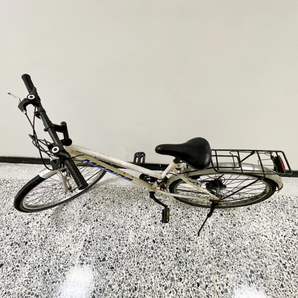 2138-代步腳踏車-002