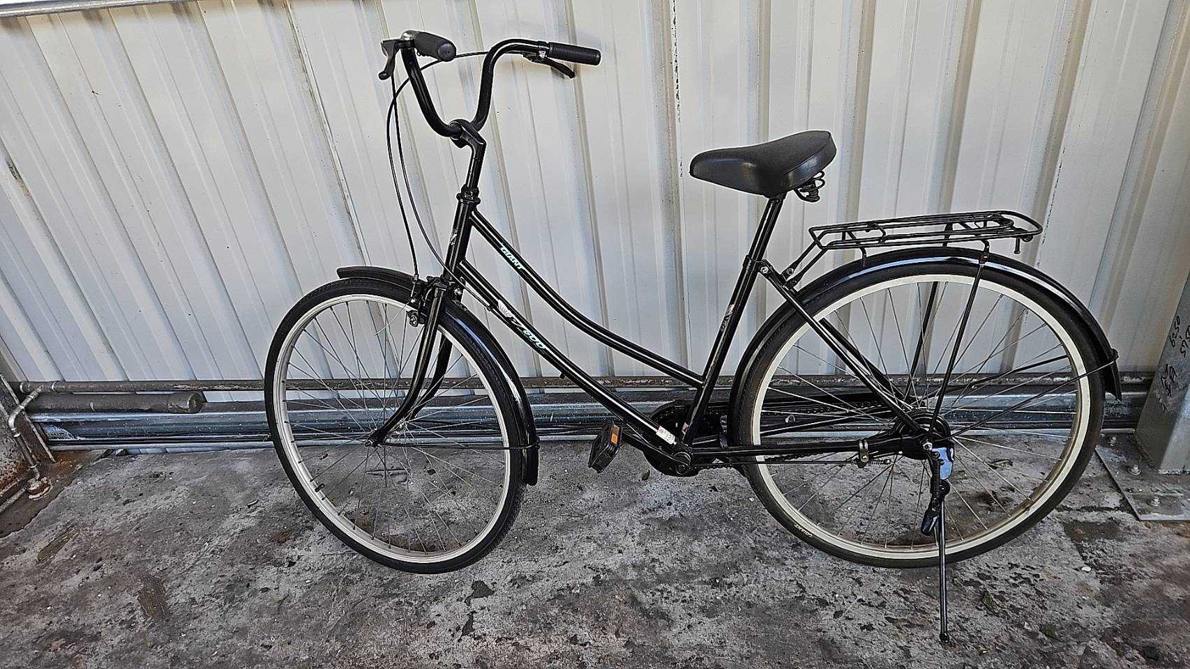 3391-經典捷安特淑女車