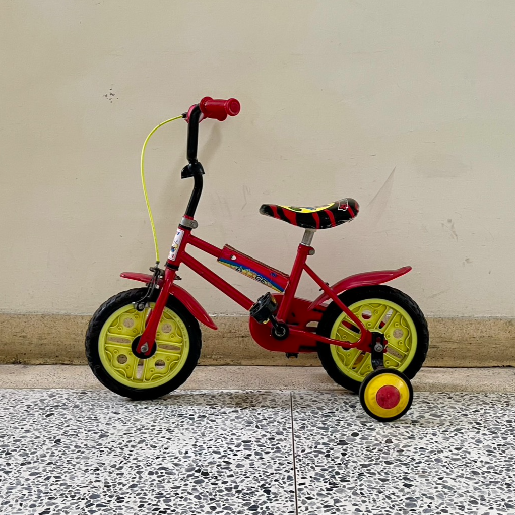 2789-兒童腳踏車-100