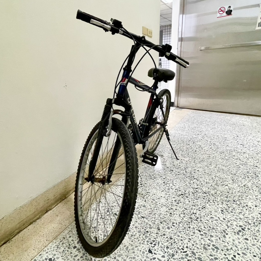 2137-代步腳踏車-001