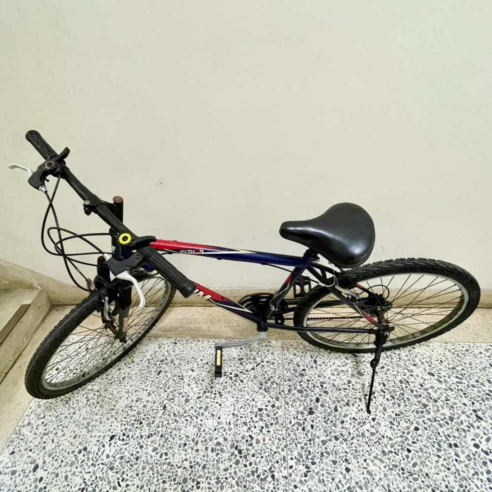 2137-代步腳踏車-001