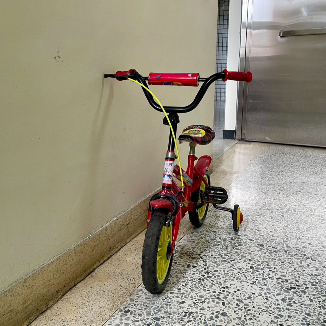 2789-兒童腳踏車-100