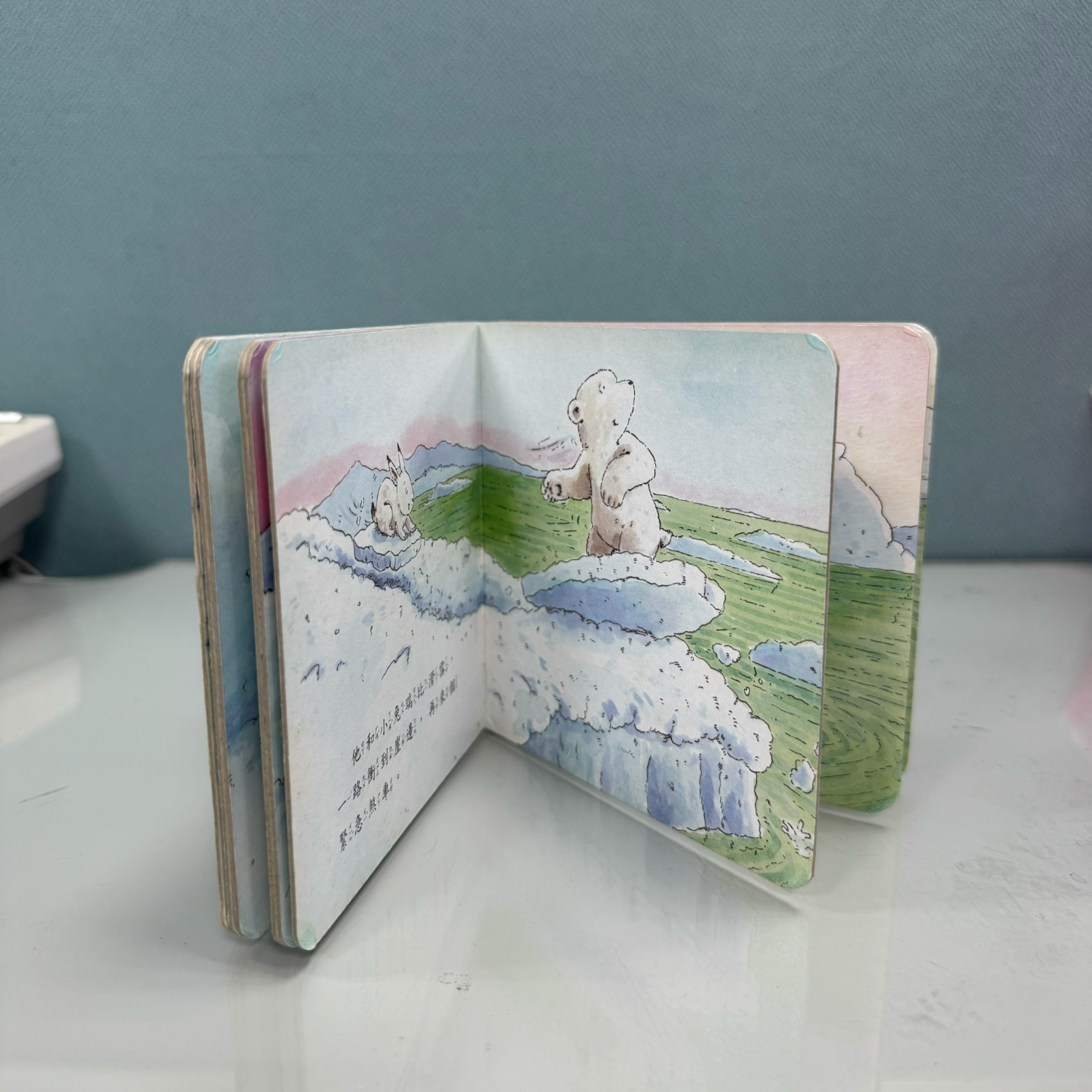 4367-樹096-小北極熊玩遊戲